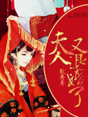 报告少帅,夫人要退婚全文免费阅读