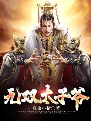 无双太子爷笔趣阁免费阅读