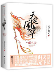 凤倾天阑讲的什么