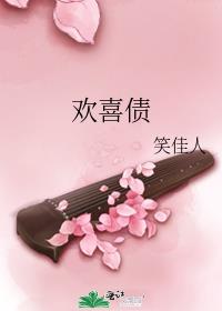 欢喜债的小说
