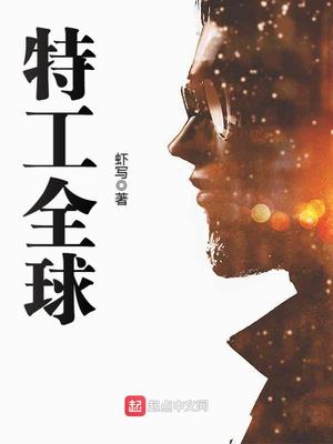 特工全球 小说