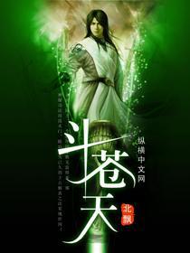 斗苍天小说