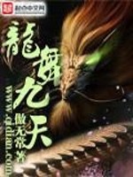龙舞九天小说