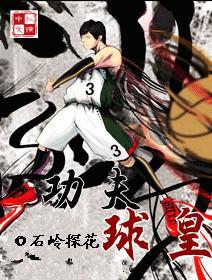 nba功夫球皇