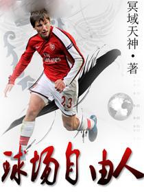 球场自由人 小说