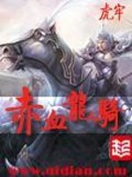 赤血龙骑小说