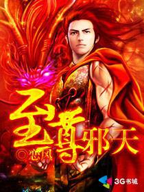 至尊邪天 小说