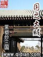 国之大贼TXT下载