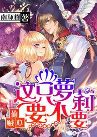 偷心贼怎么说