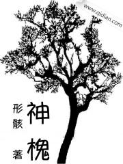 神槐 小说