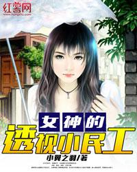透视小神医女婿