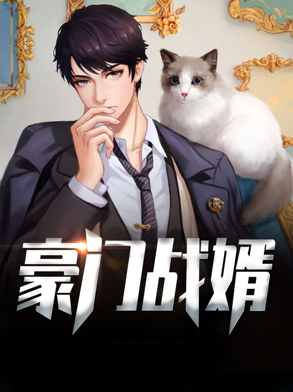 豪门战婿免费