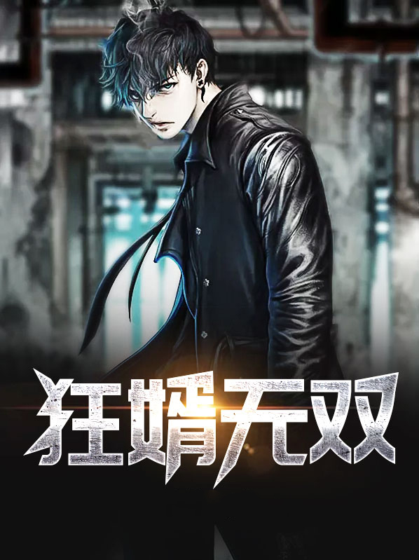 无双狂婿叶飞