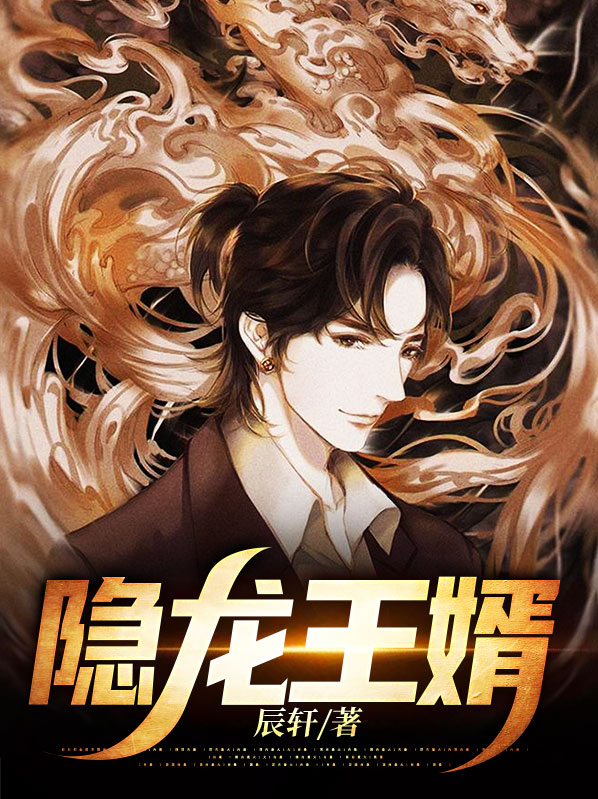 隐龙王婿陈枫