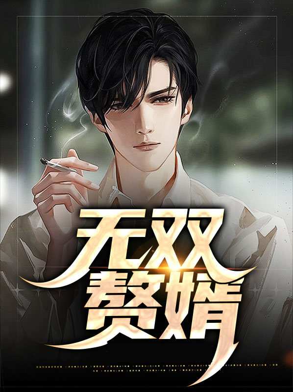 无双赘婿小说