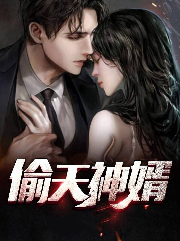 偷天小说主角是谁