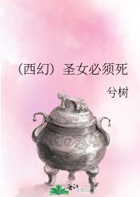 穿越西幻圣女