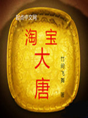淘宝大唐 小说