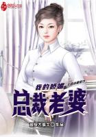 我的娇媚总裁老婆京城大少隐藏身份