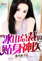 冰山总裁的贴身神医苏寒乔
