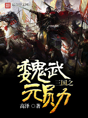 三国之魏国能臣