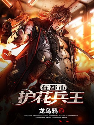 护花兵王在都市 意外