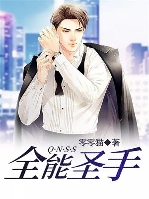 全能圣手 小说