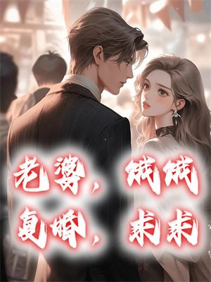 老婆,要复婚吗小说