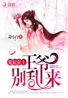 宠妃在上：王爷，别乱来！