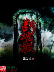 断魂坡台武侠电影在线观看