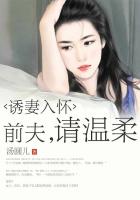 诱妻入怀:前夫,请温柔-都市言情-落秋中文