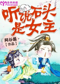 石头会说话小说