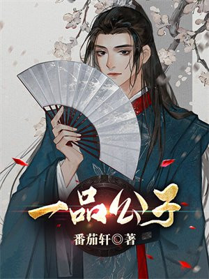一品公子天机诗字谜