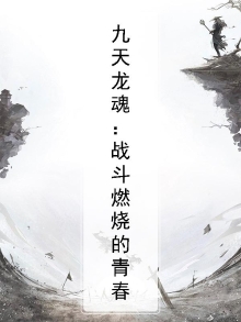 九天龙帅