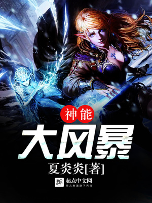神能大风暴 小说