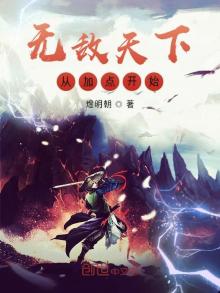 无敌天下从加点开始TXT下载