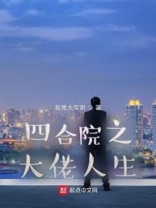 四合院之大佬人生 原著小说
