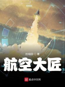 航空大匠小说下载