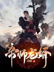 帝师龙婿电视剧免费观看全集高清