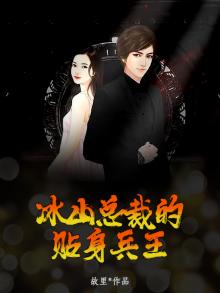 冰山总裁的贴身兵王叶欢