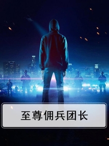 至尊佣兵王小说