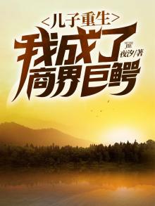 我儿子重生了飞卢
