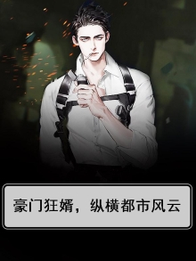 豪门狂婿简介