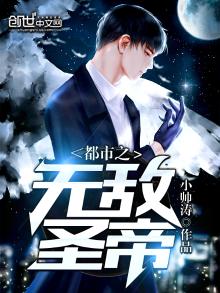 都市之无敌圣帝 小说