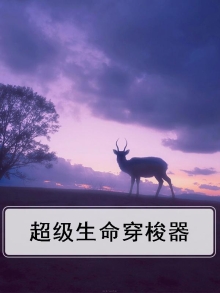 超级穿梭者