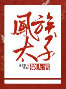 太子妃凤宁澜