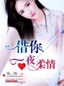 借你一夜柔情是什么歌