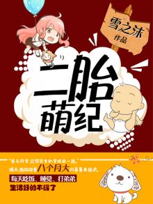 二胎来了小说免费阅读