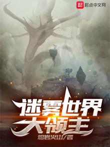 迷雾世界大领主 小说