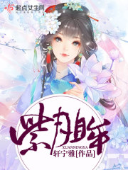 紫月眸 轩宁雅